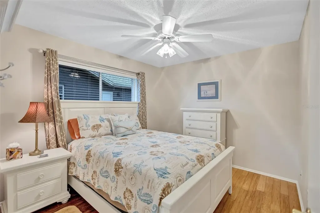 1743 Macdonnell Drive Palm Harbor FL 34684