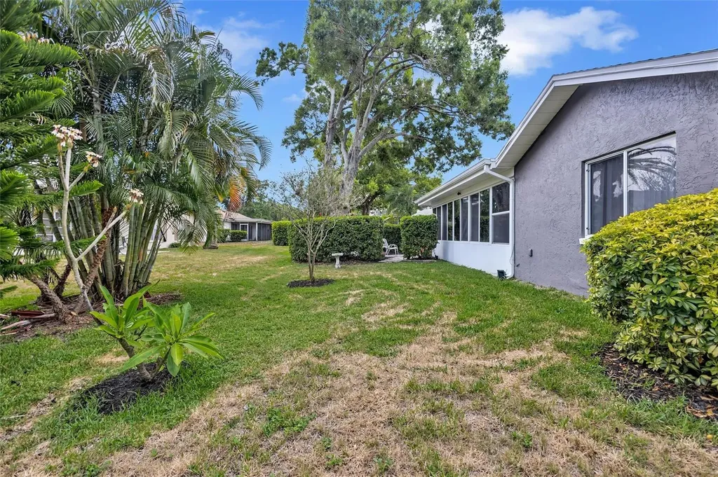 1743 Macdonnell Drive Palm Harbor FL 34684