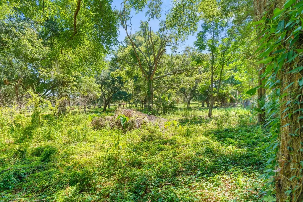 12616 Thonotosassa Road Thonotosassa FL 33592