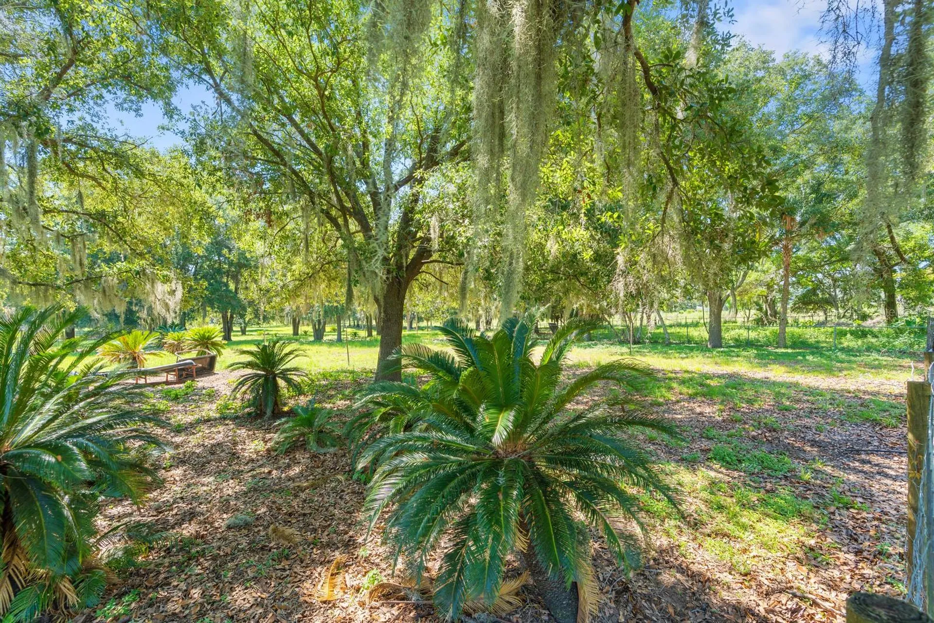 12616 Thonotosassa Road Thonotosassa FL 33592