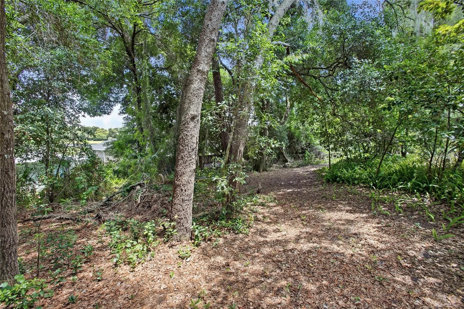 2035 Duncan Trace Deland FL 32720
