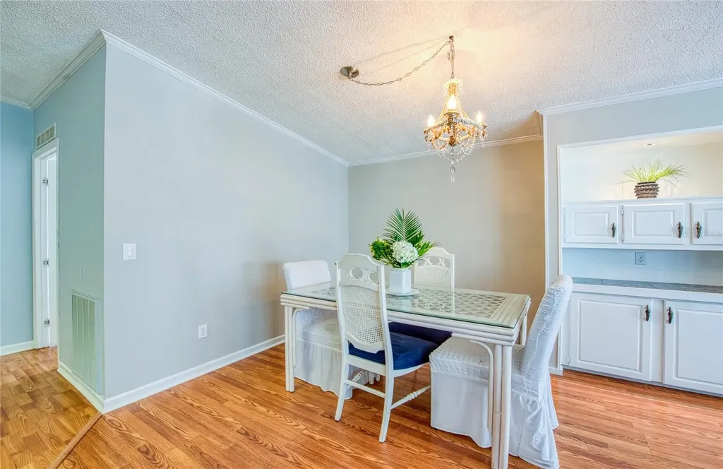480 Trout Lane Oldsmar FL 34677