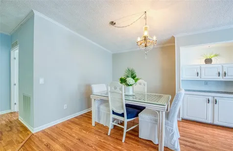480 Trout Lane Oldsmar FL 34677
