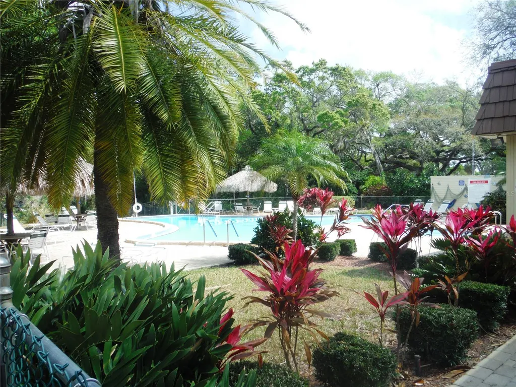 37 Honey Bear Court Safety Harbor FL 34695