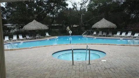 37 Honey Bear Court Safety Harbor FL 34695