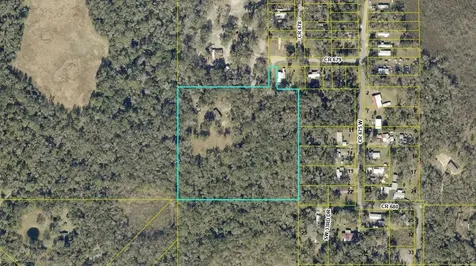 3415 Cr 679 Webster FL 33597