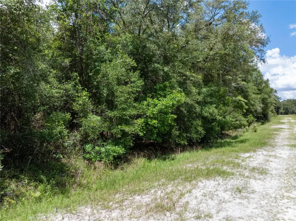 Lot 53 SW Roanoke Terrace Fort White FL 32038