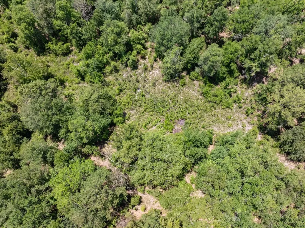 Lot 53 SW Roanoke Terrace Fort White FL 32038
