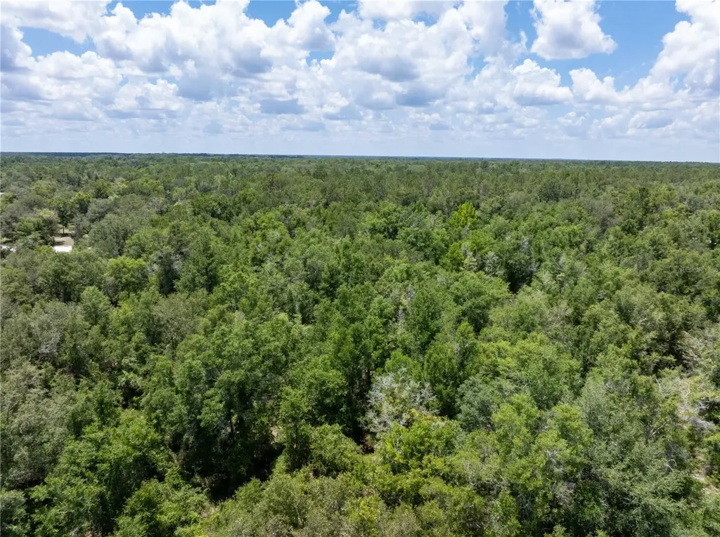 Lot 53 SW Roanoke Terrace Fort White FL 32038