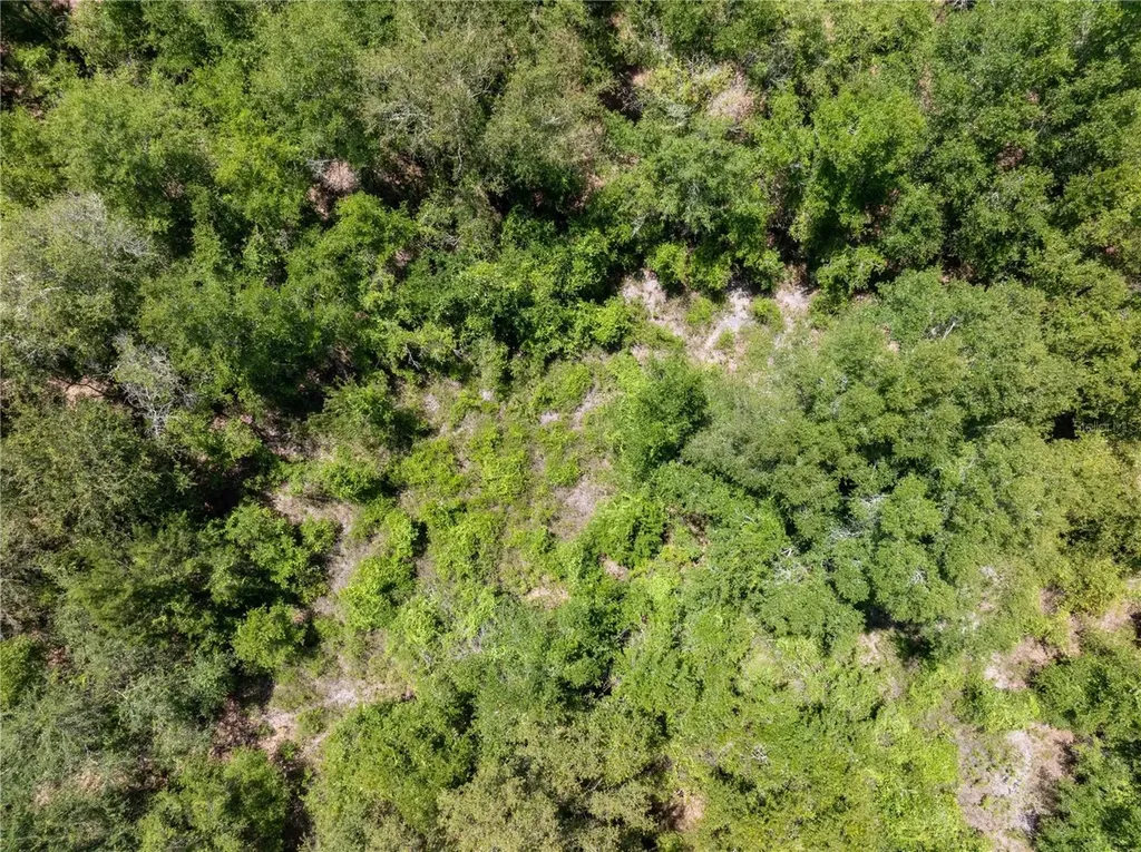 Lot 53 SW Roanoke Terrace Fort White FL 32038