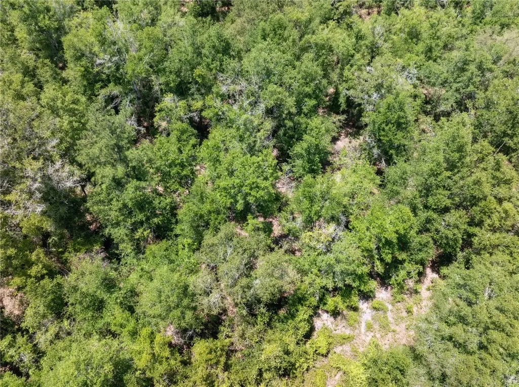 Lot 53 SW Roanoke Terrace Fort White FL 32038
