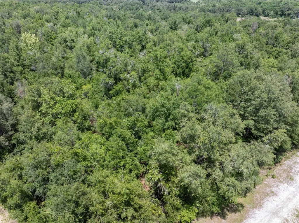 Lot 53 SW Roanoke Terrace Fort White FL 32038