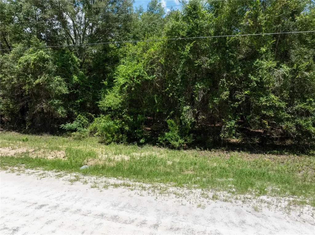 Lot 53 SW Roanoke Terrace Fort White FL 32038