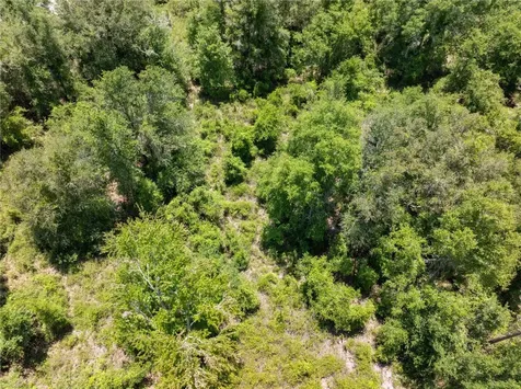 Lot 53 SW Roanoke Terrace Fort White FL 32038