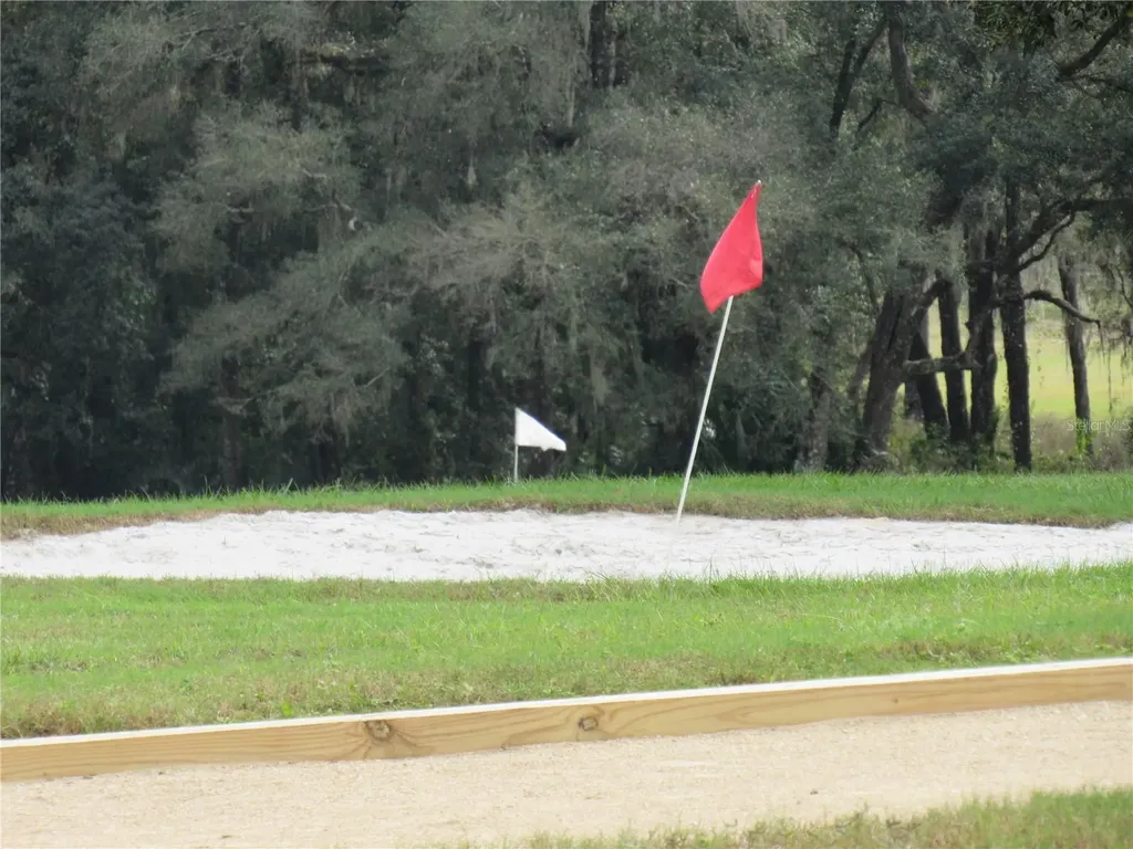9670 SW 190th Terrace Road Dunnellon FL 34432