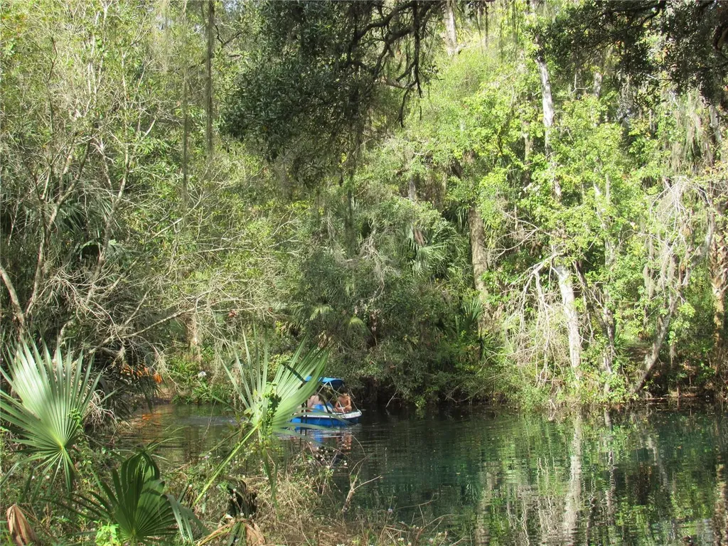 9670 SW 190th Terrace Road Dunnellon FL 34432