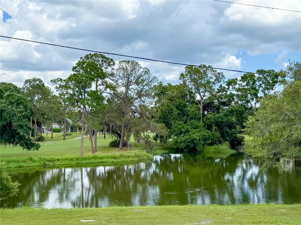 2650 Tanglewood Trail Palm Harbor FL 34685