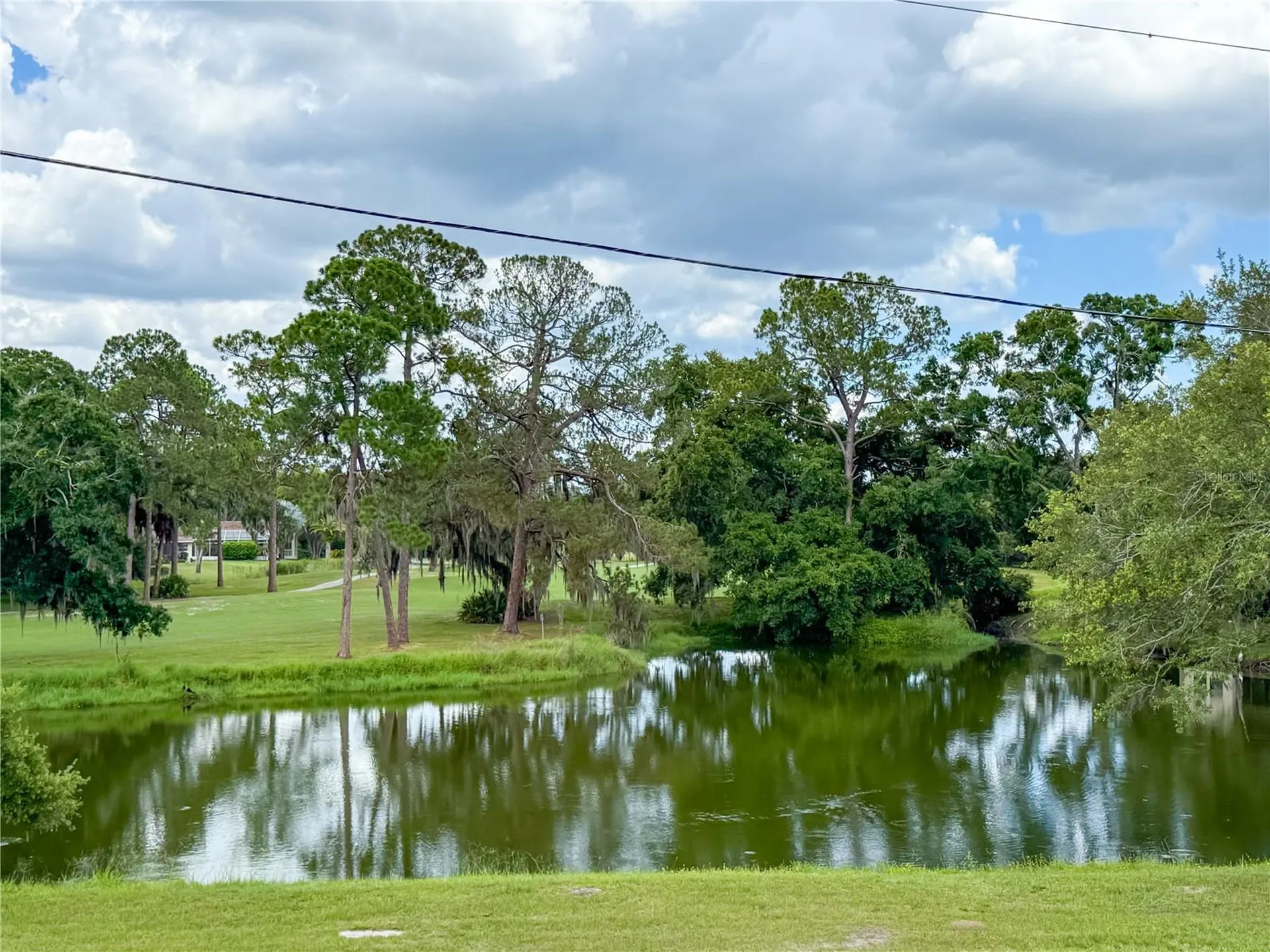 2650 Tanglewood Trail Palm Harbor FL 34685