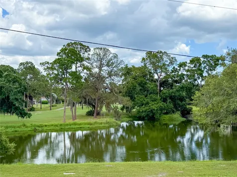 2650 Tanglewood Trail Palm Harbor FL 34685