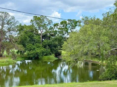 2650 Tanglewood Trail Palm Harbor FL 34685