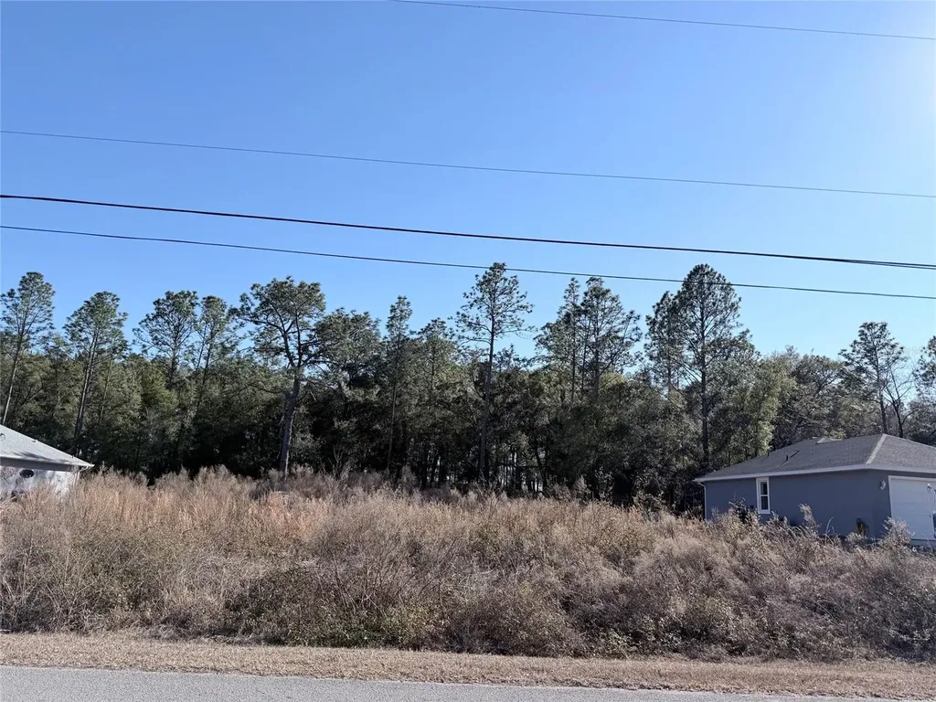 0 SW 59th Lane Dunnellon FL 34431