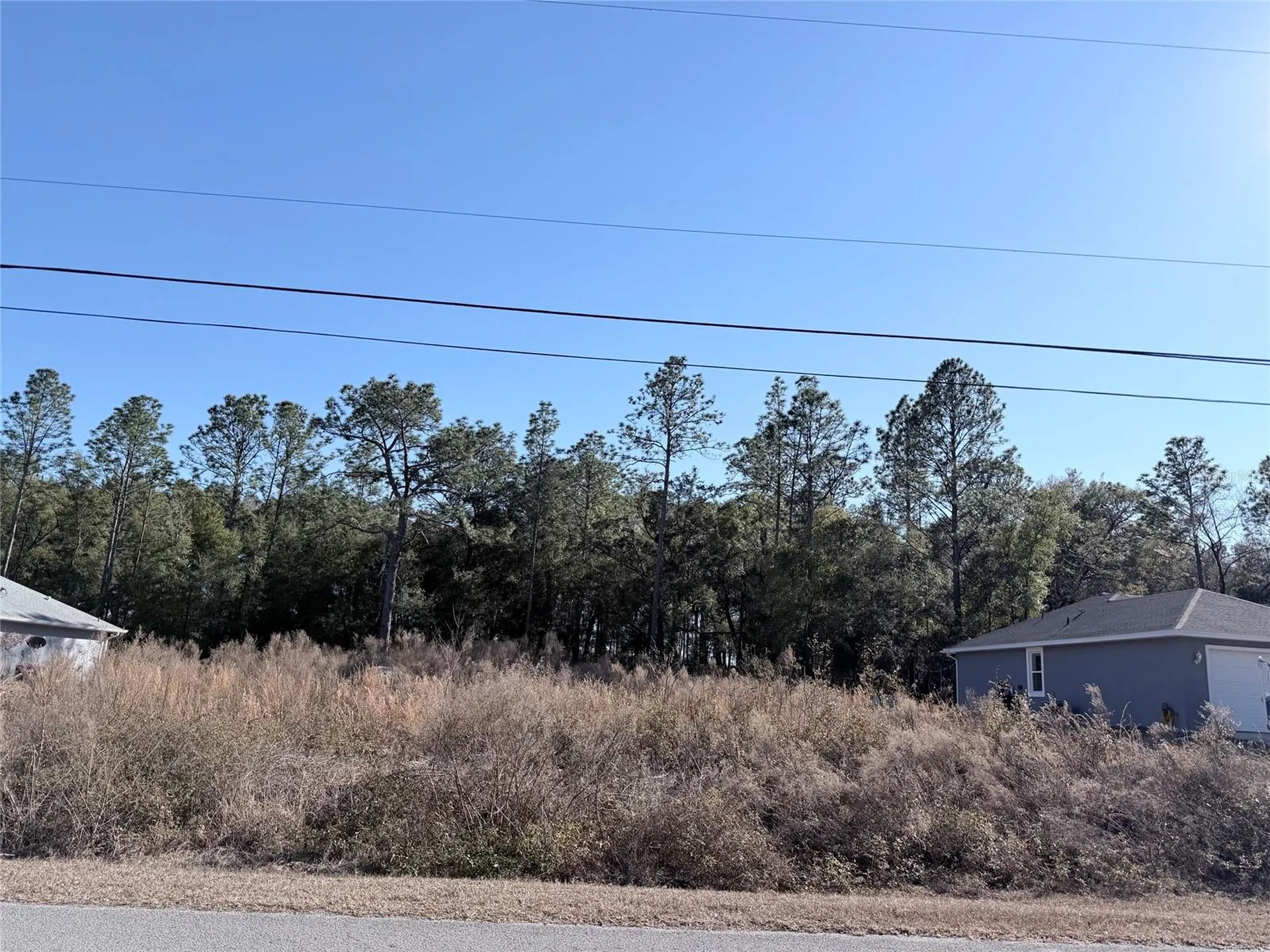 0 SW 59th Lane Dunnellon FL 34431
