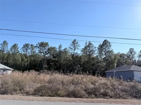 0 SW 59th Lane Dunnellon FL 34431