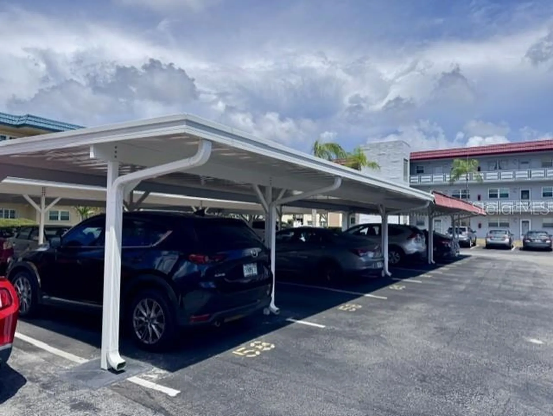 5660 80th Street N St Petersburg FL 33709