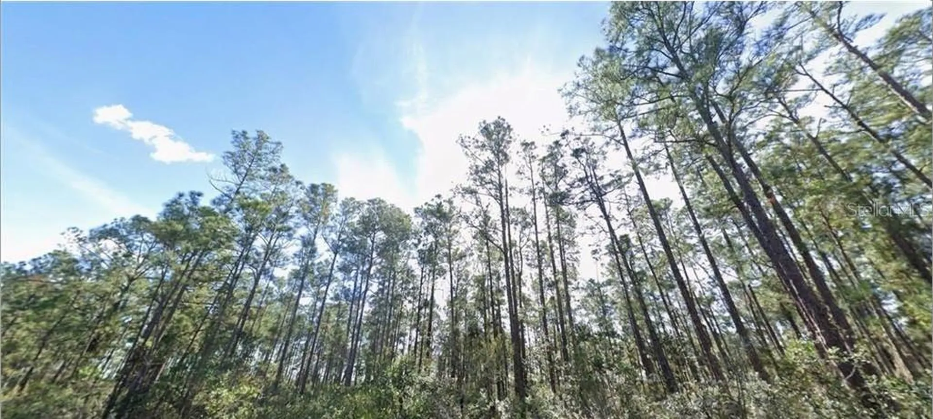 821 Belmonte Drive Indian Lake Estates FL 33855