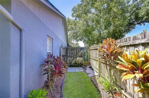 8702 Hampden Drive Tampa FL 33626