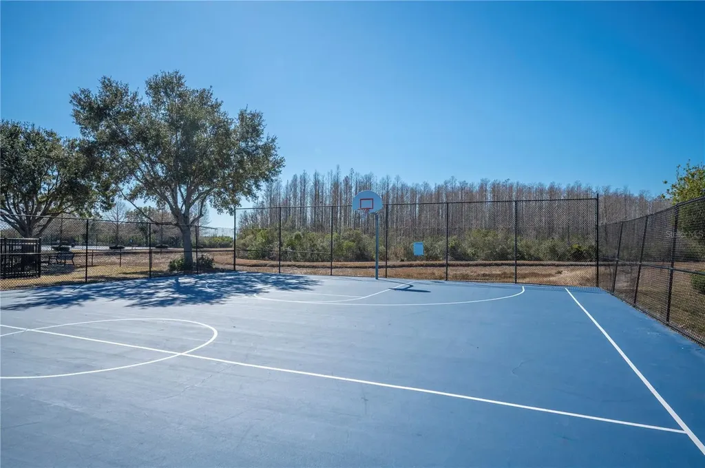 18636 Strombury Drive Land O Lakes FL 34638