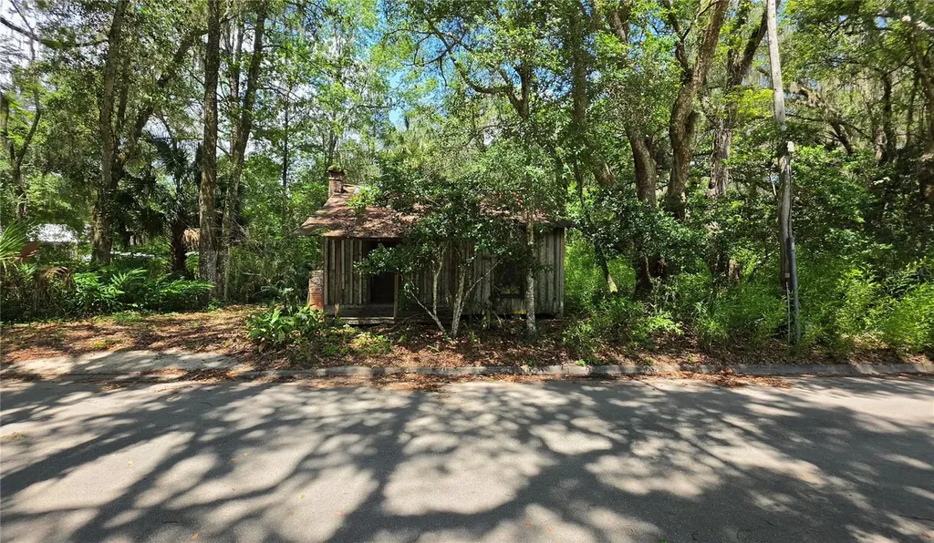 304 NW 5th Street Micanopy FL 32667