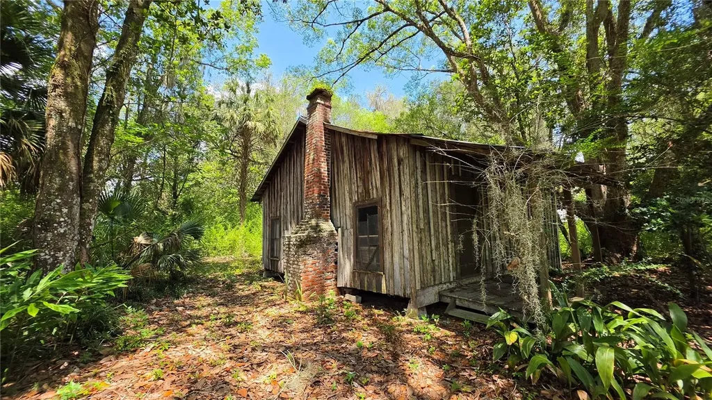 304 NW 5th Street Micanopy FL 32667