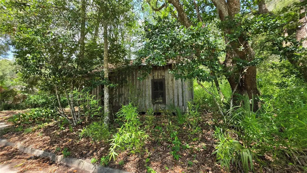 304 NW 5th Street Micanopy FL 32667