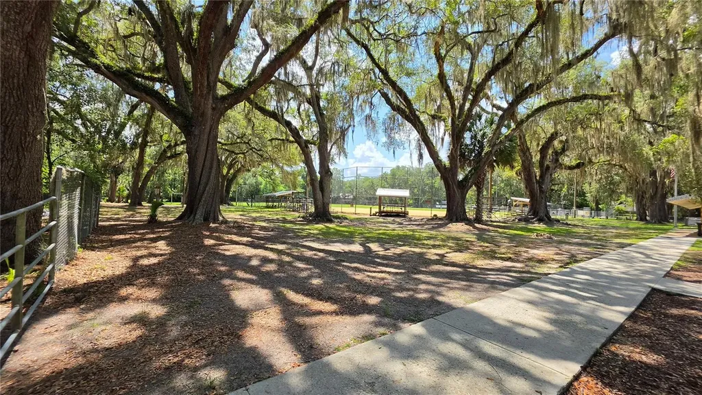 304 NW 5th Street Micanopy FL 32667