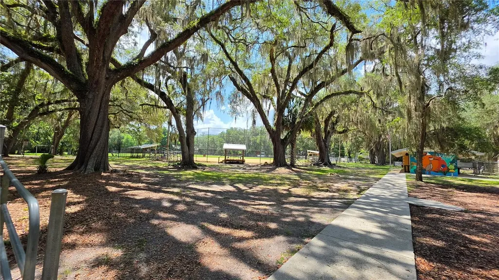 304 NW 5th Street Micanopy FL 32667