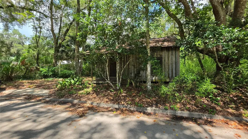 304 NW 5th Street Micanopy FL 32667
