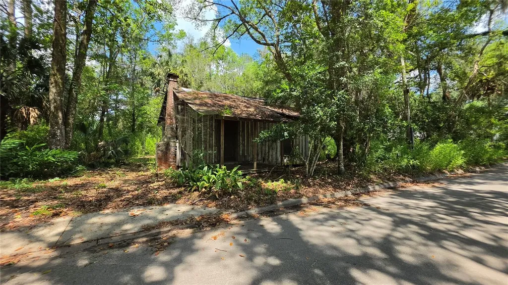 304 NW 5th Street Micanopy FL 32667