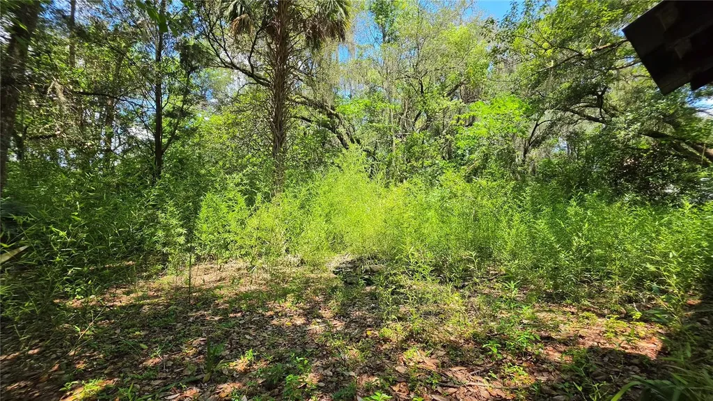 304 NW 5th Street Micanopy FL 32667
