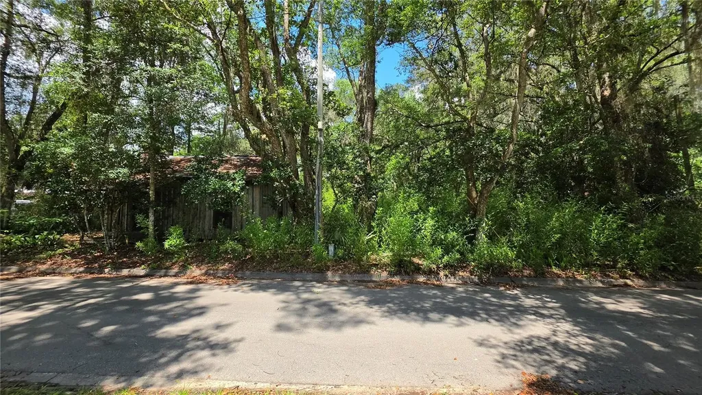 304 NW 5th Street Micanopy FL 32667