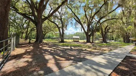 304 NW 5th Street Micanopy FL 32667