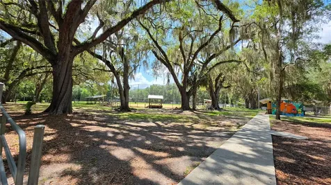 304 NW 5th Street Micanopy FL 32667
