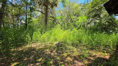 304 NW 5th Street Micanopy FL 32667