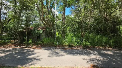 304 NW 5th Street Micanopy FL 32667