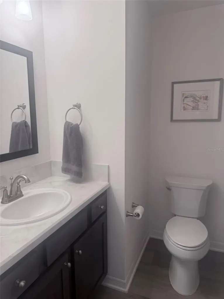2790 Carytown Loop The Villages FL 32163