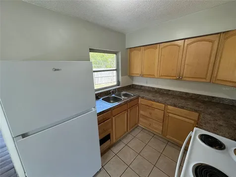 460 Mount Vernon Court Eustis FL 32726