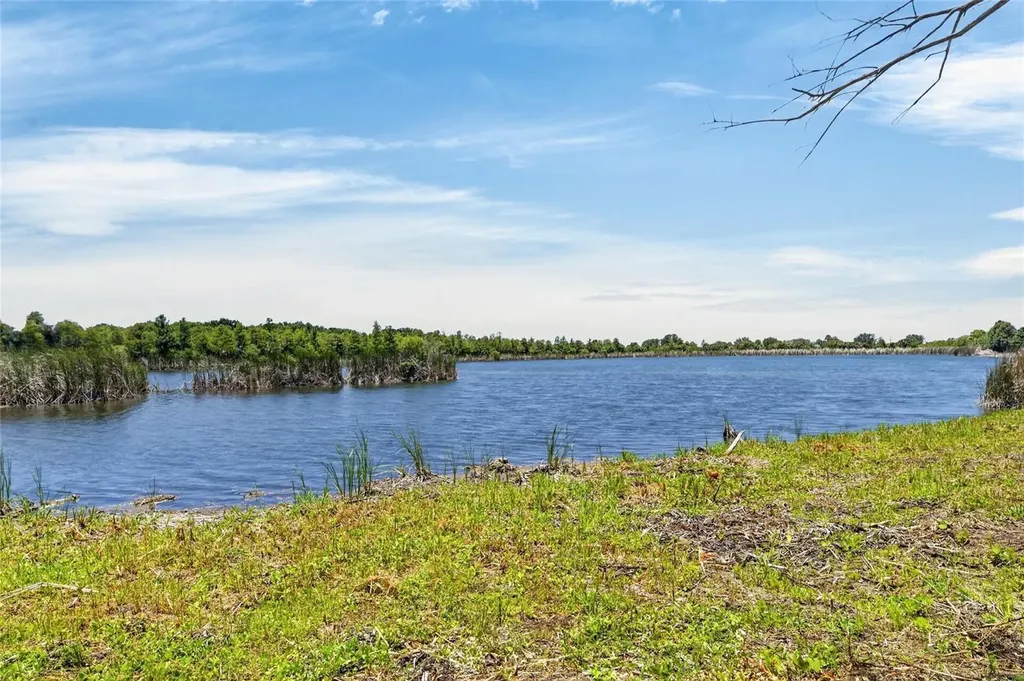 3016 Smilodon Trail Ruskin FL 33570