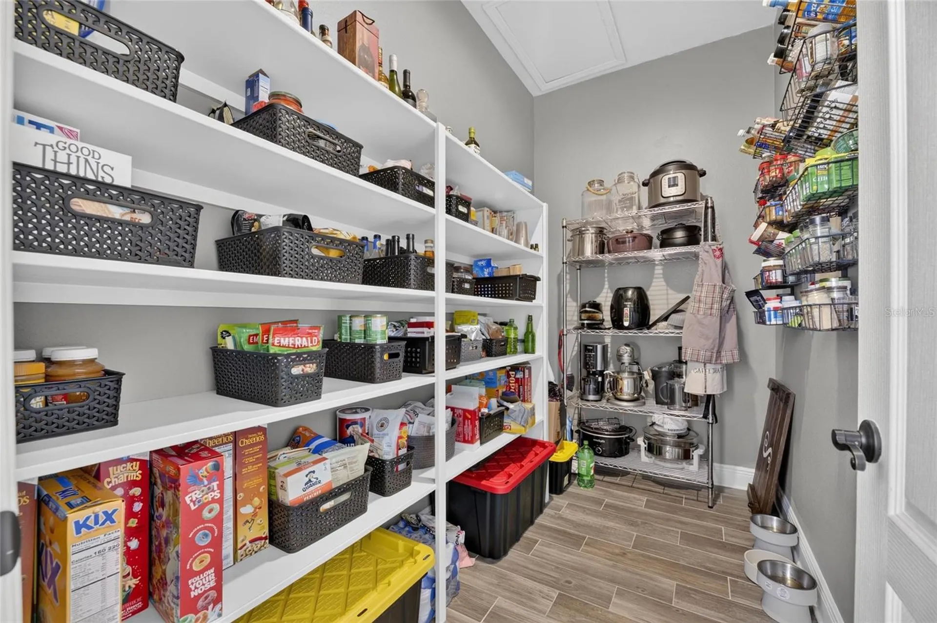 3016 Smilodon Trail Ruskin FL 33570