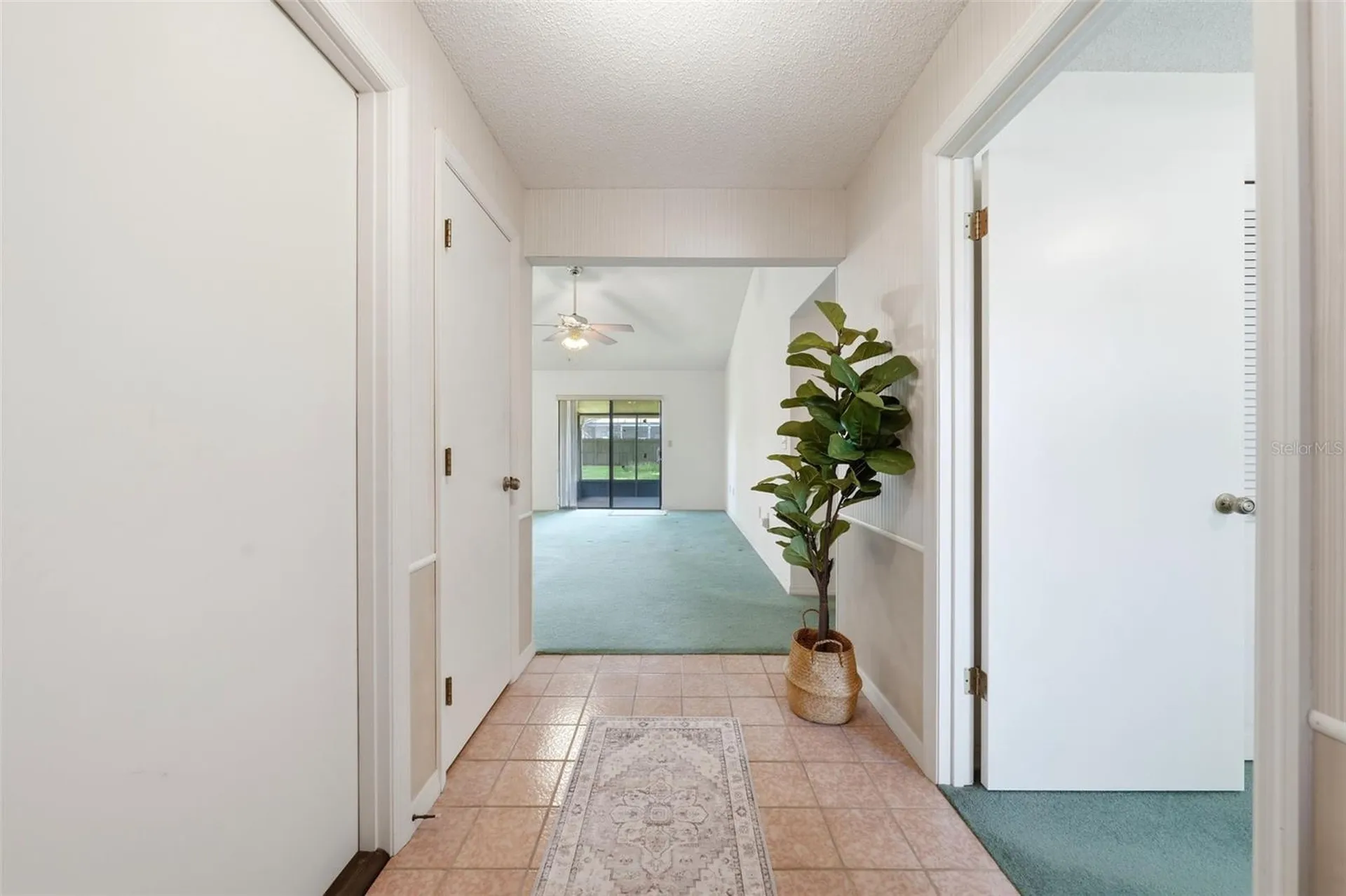 1507 Blackberry Court Eustis FL 32726