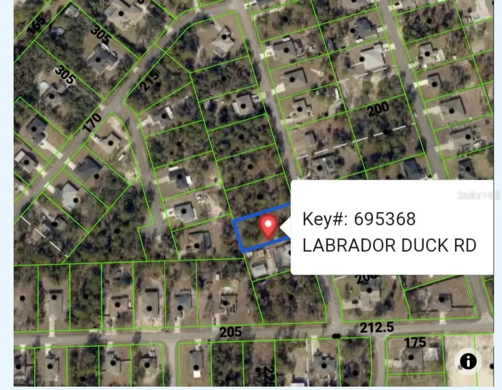 Labrador Duck Road Weeki Wachee FL 34614